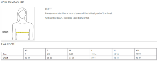 Florida Select Ladies Blend Vneck - Banana Bug Designs