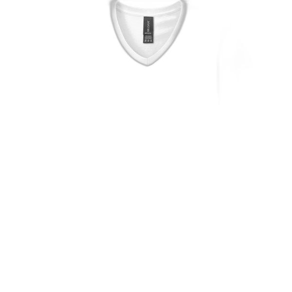 Gildan Softstyle® V-Neck T-Shirt. 64V00