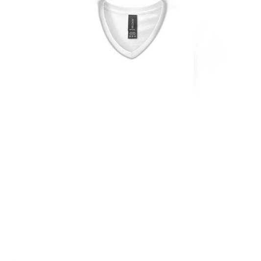 Gildan Softstyle® V-Neck T-Shirt. 64V00