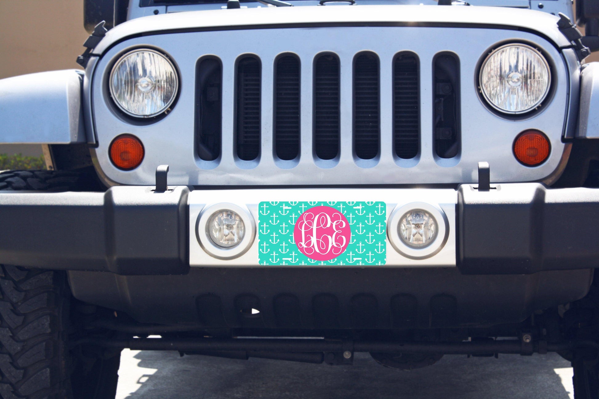 Fun Monogrammed License Plates